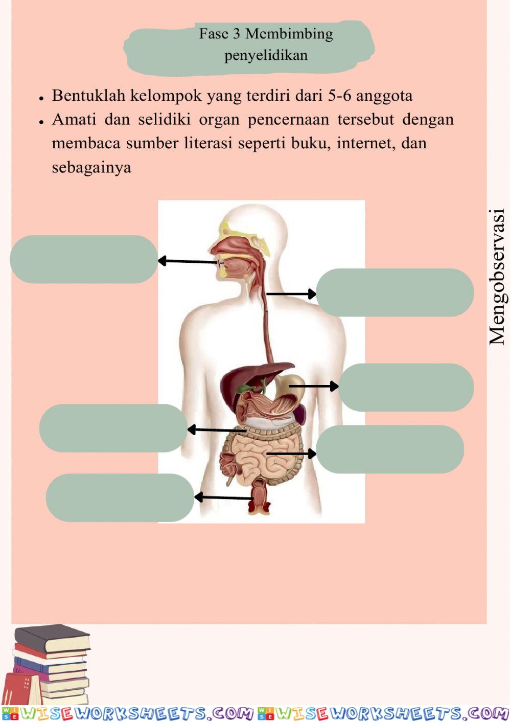 worksheet