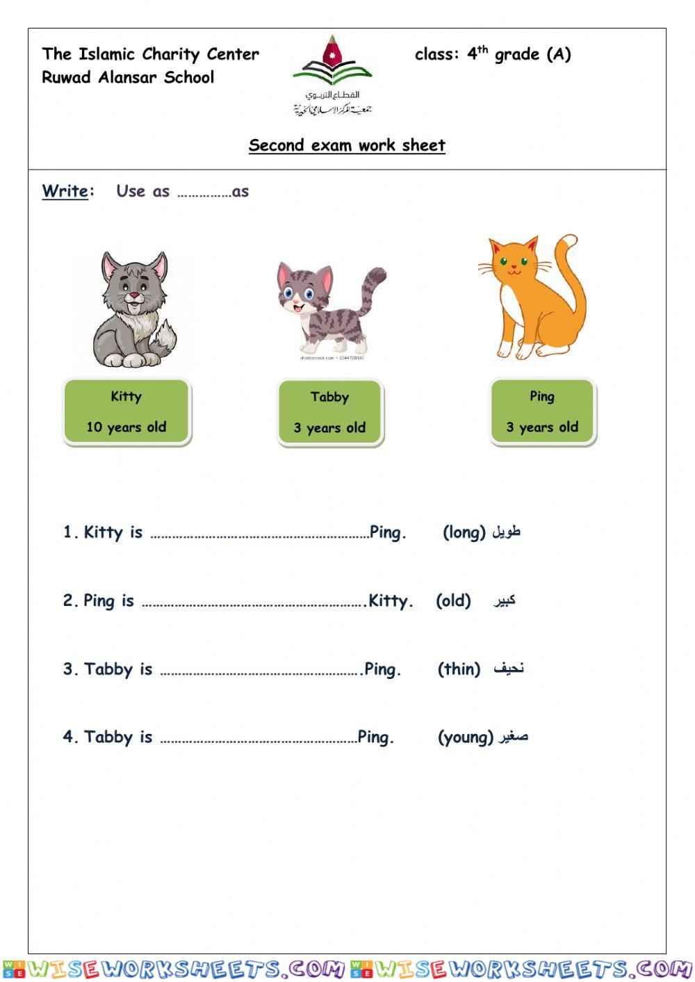 Second exam work sheet 4