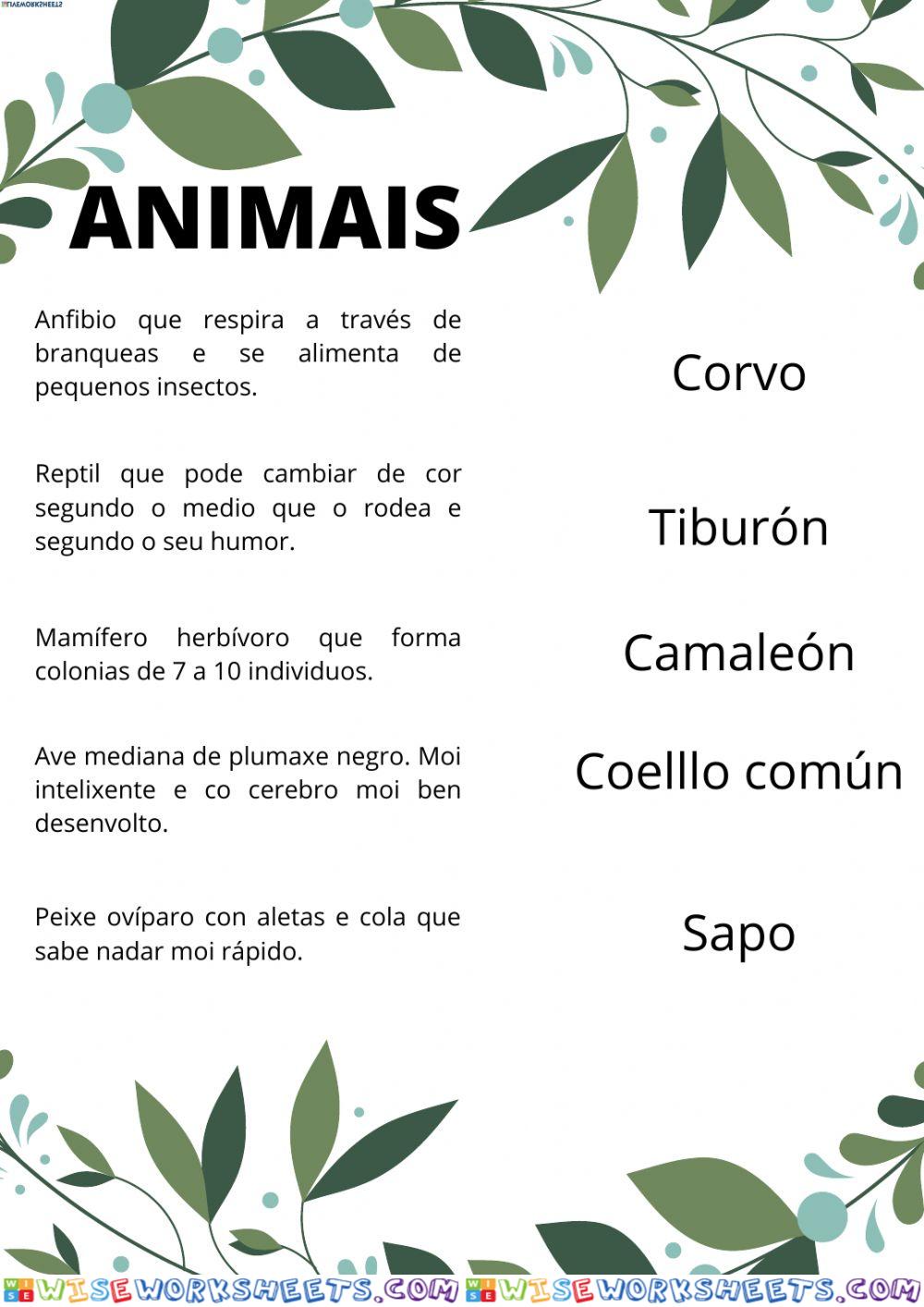 RELACIONAR DEFINICIÓN E ANIMAL