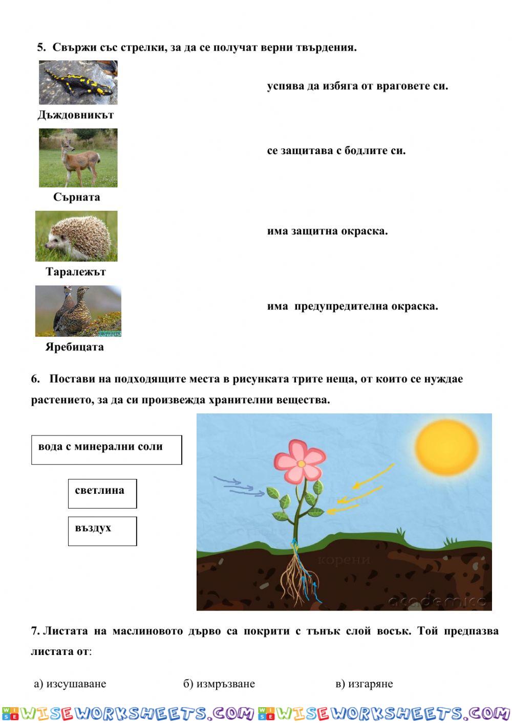 worksheet