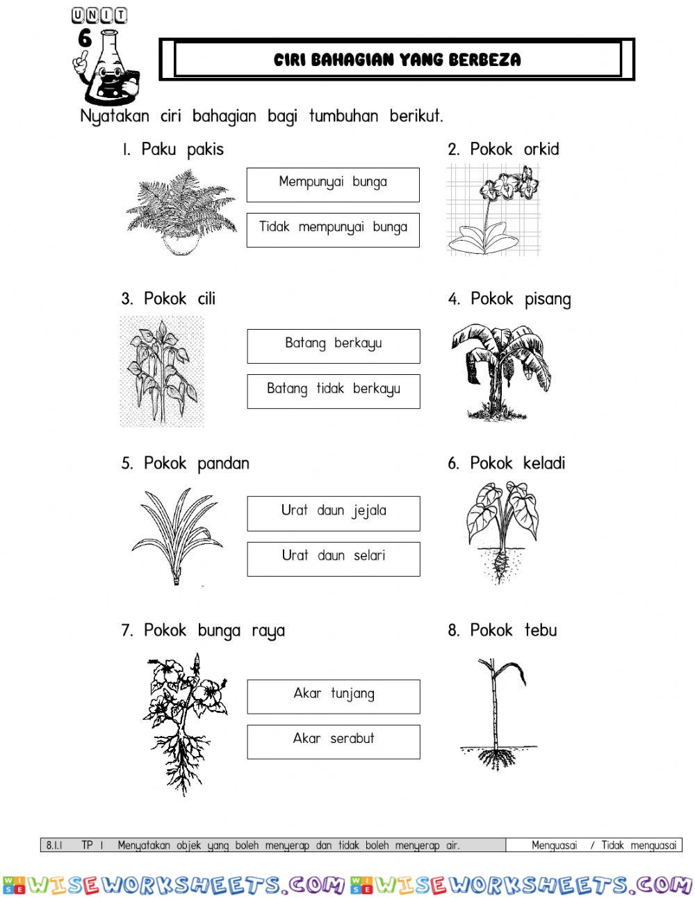 worksheet