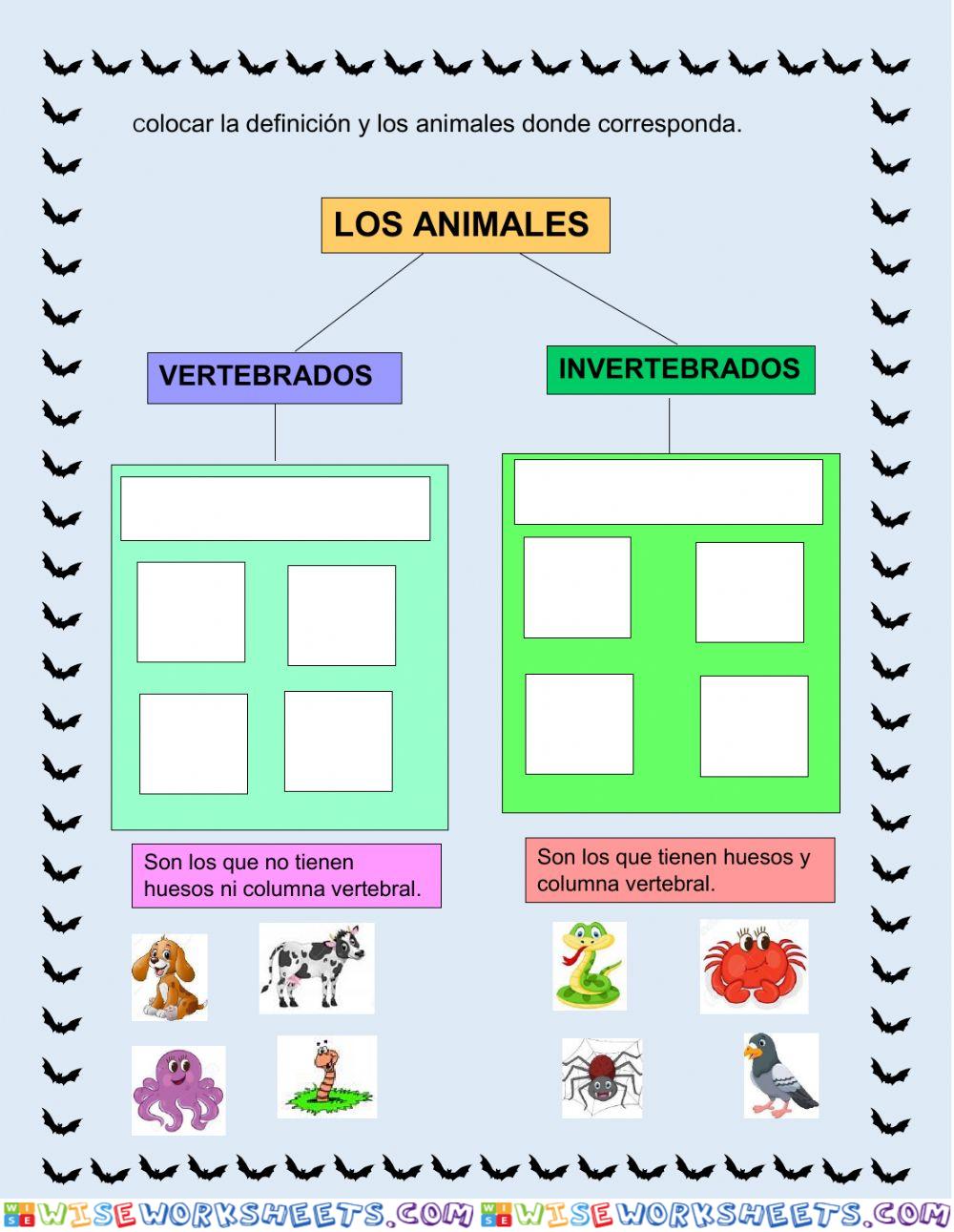 Animales vertebrados e invertebrados