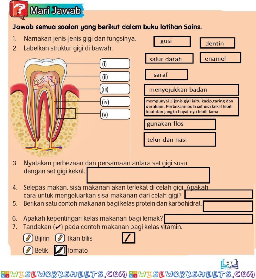 Soalan sains Buku Teks Tahun 3 ms 57