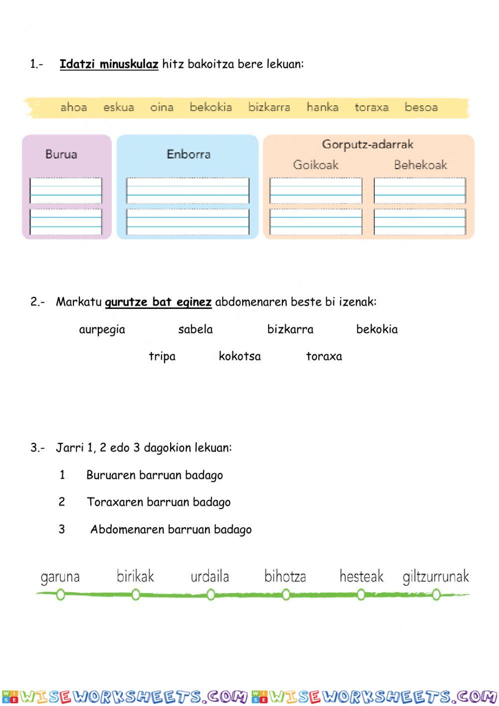 worksheet