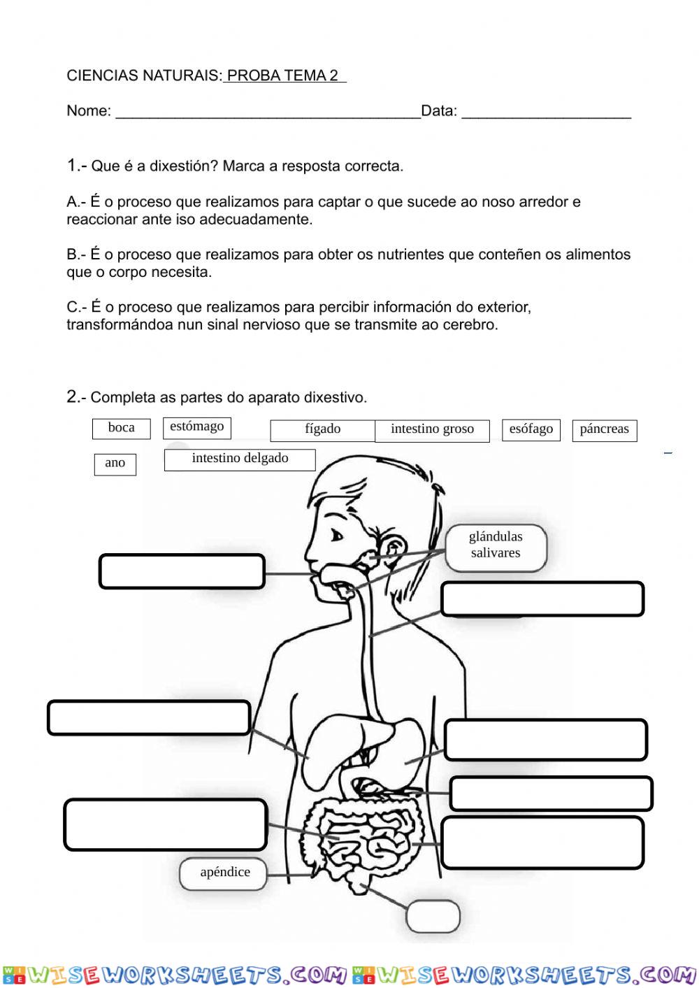 Ciencias naturais: proba tema 2