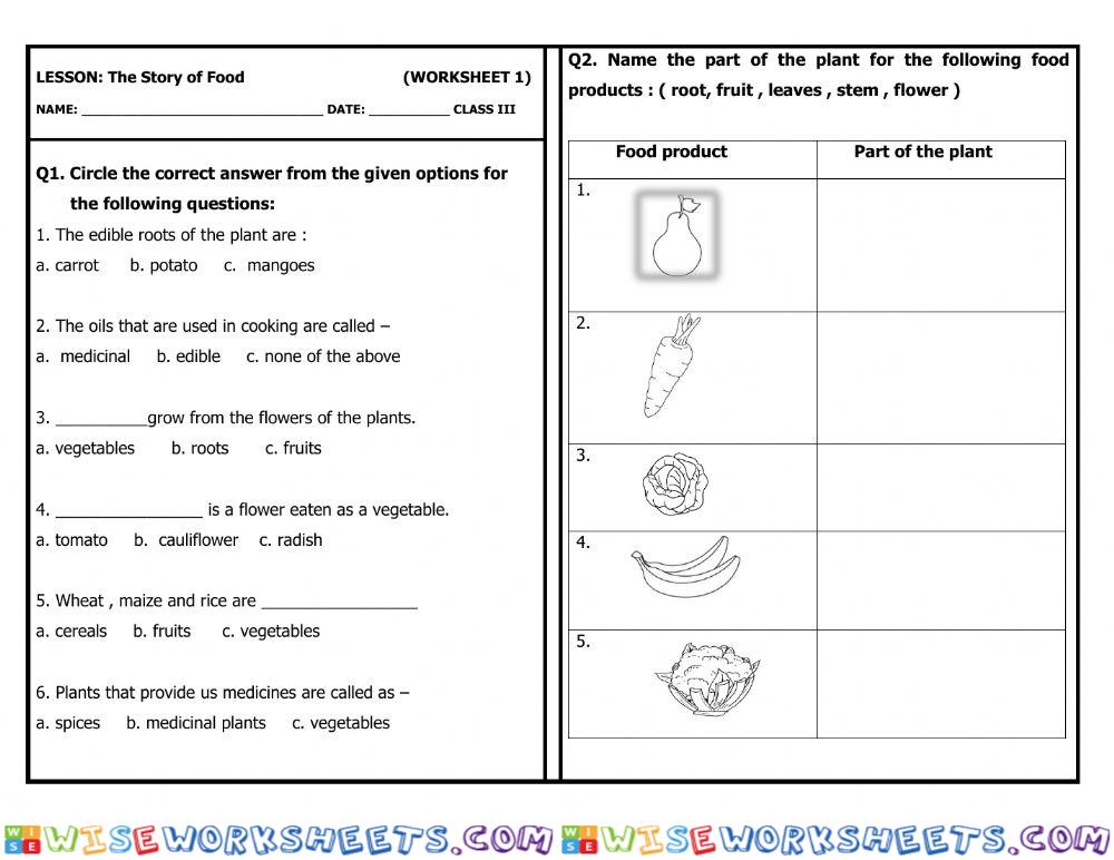 The story of food - worksheet 1