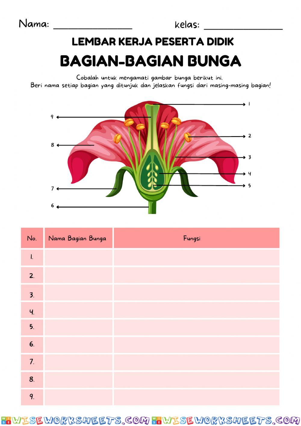 Bagian-bagian bunga