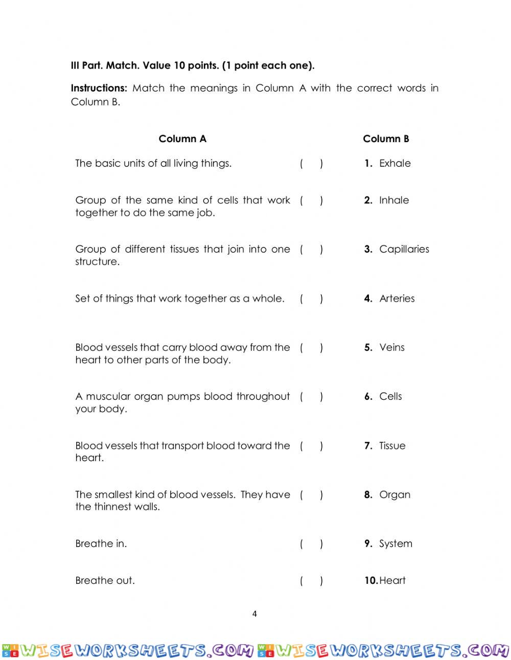 worksheet
