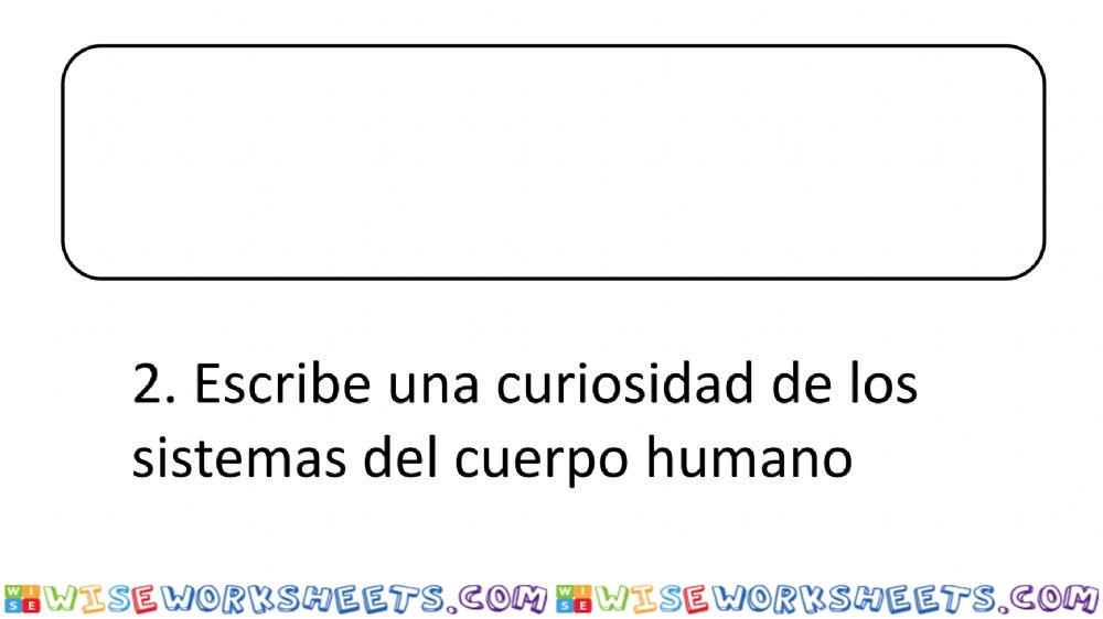 worksheet