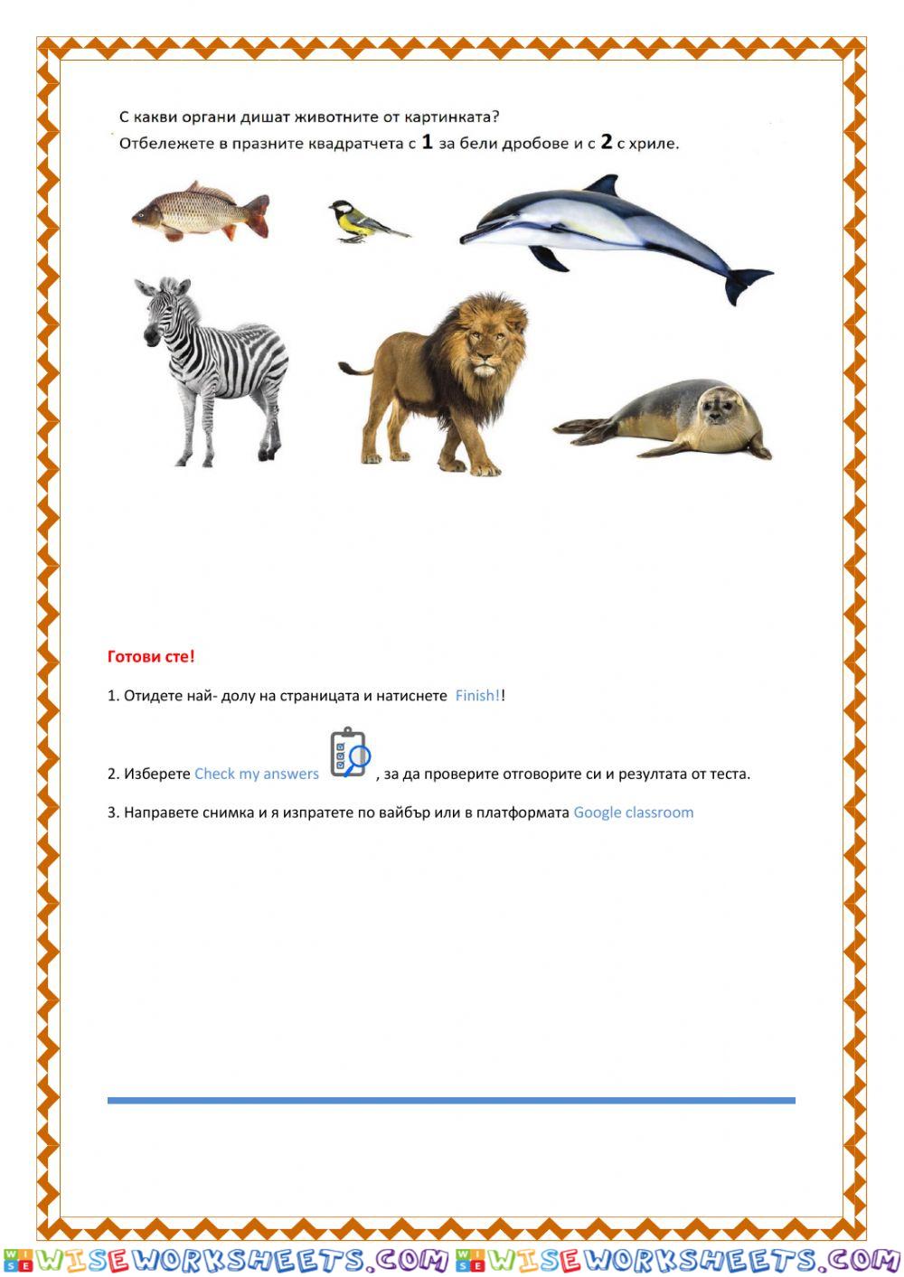worksheet