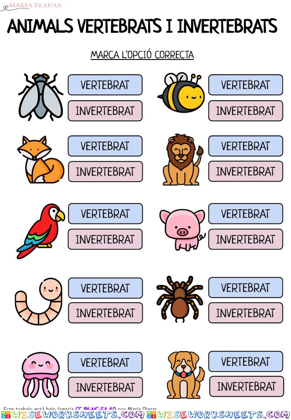 Animals vertebrats i invertebrats