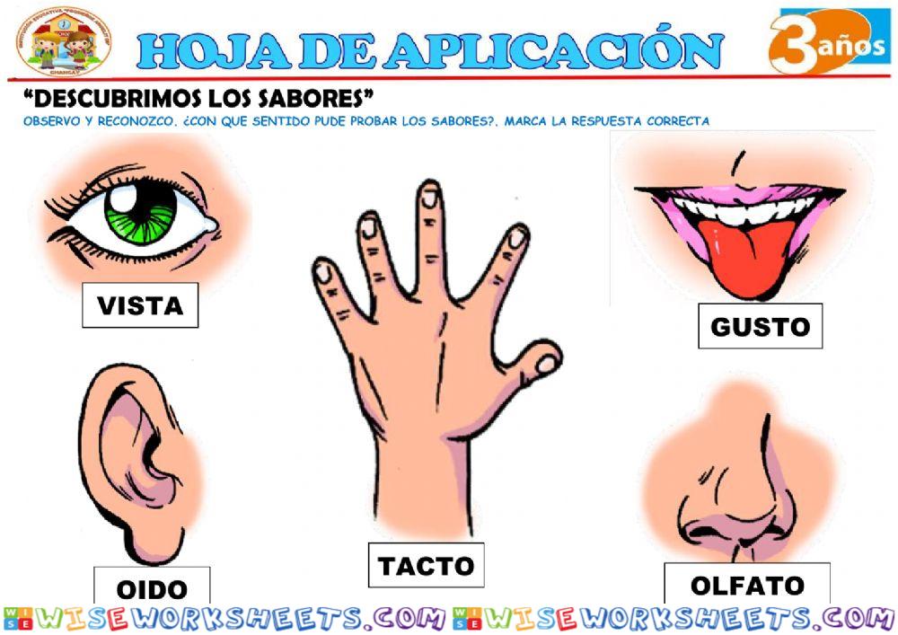 Descubriendo los sabores