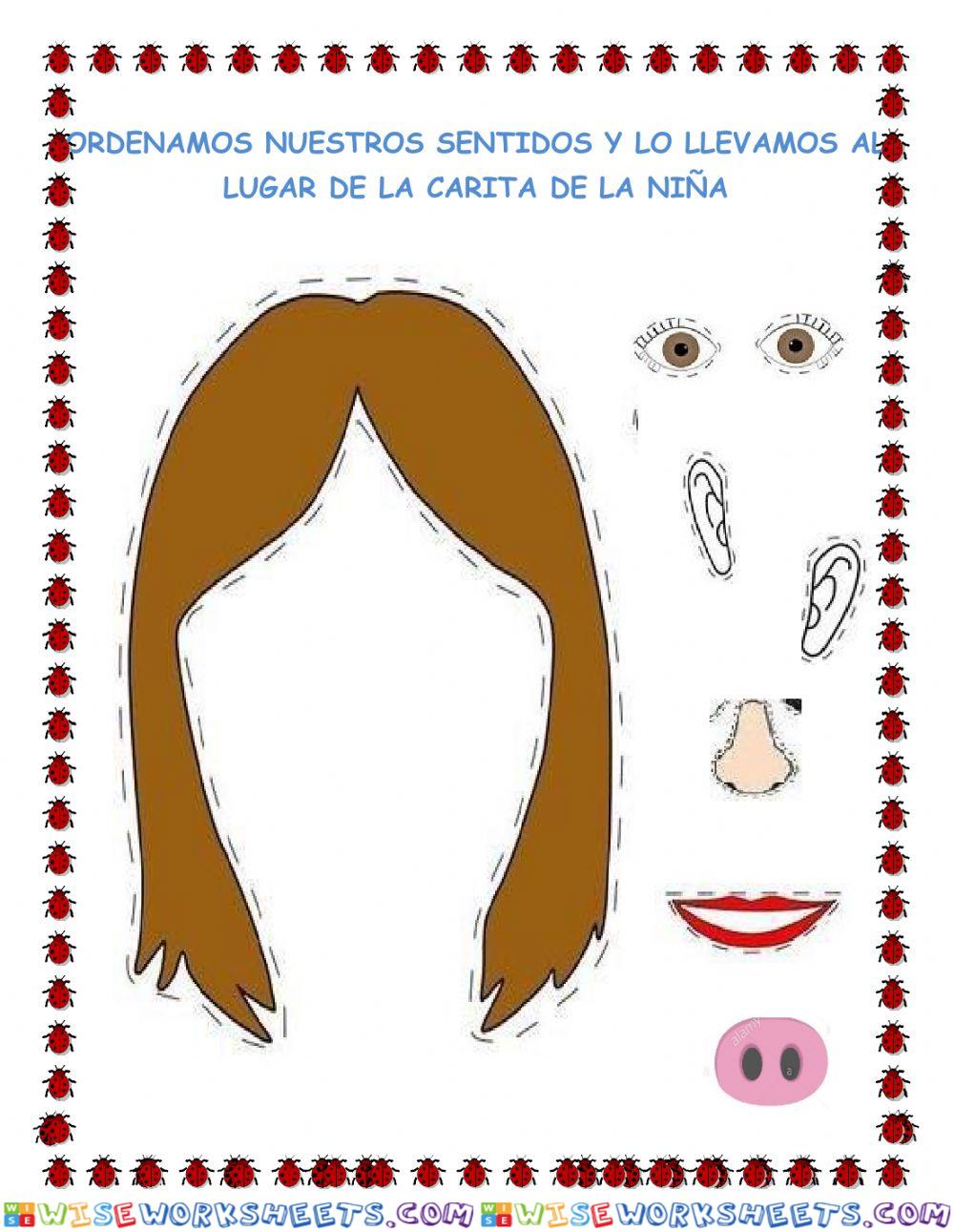 worksheet