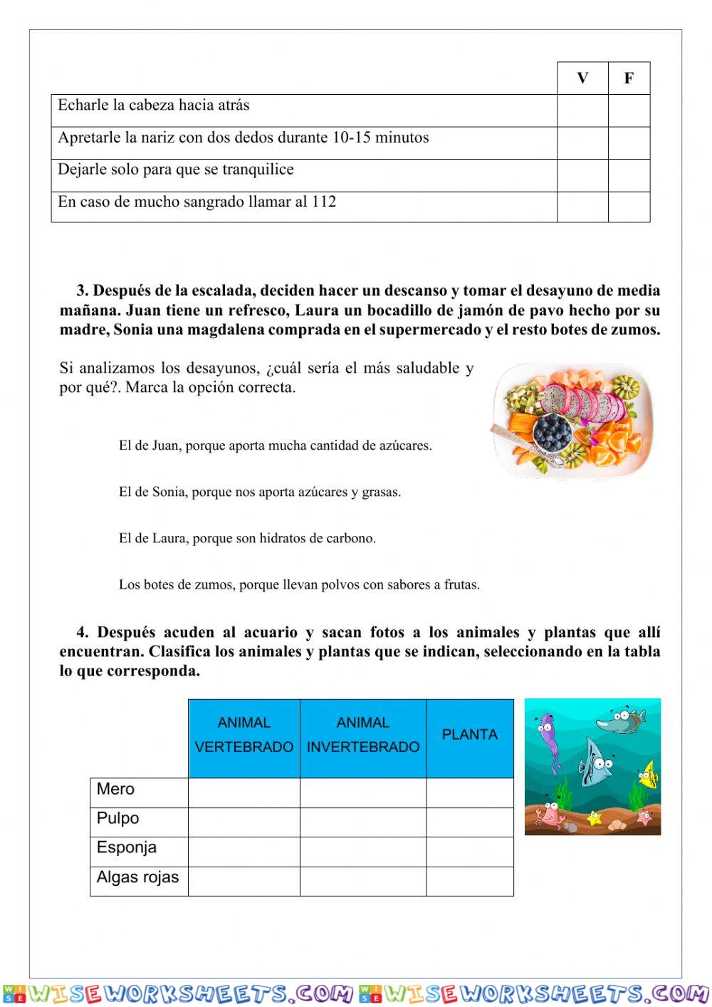 worksheet
