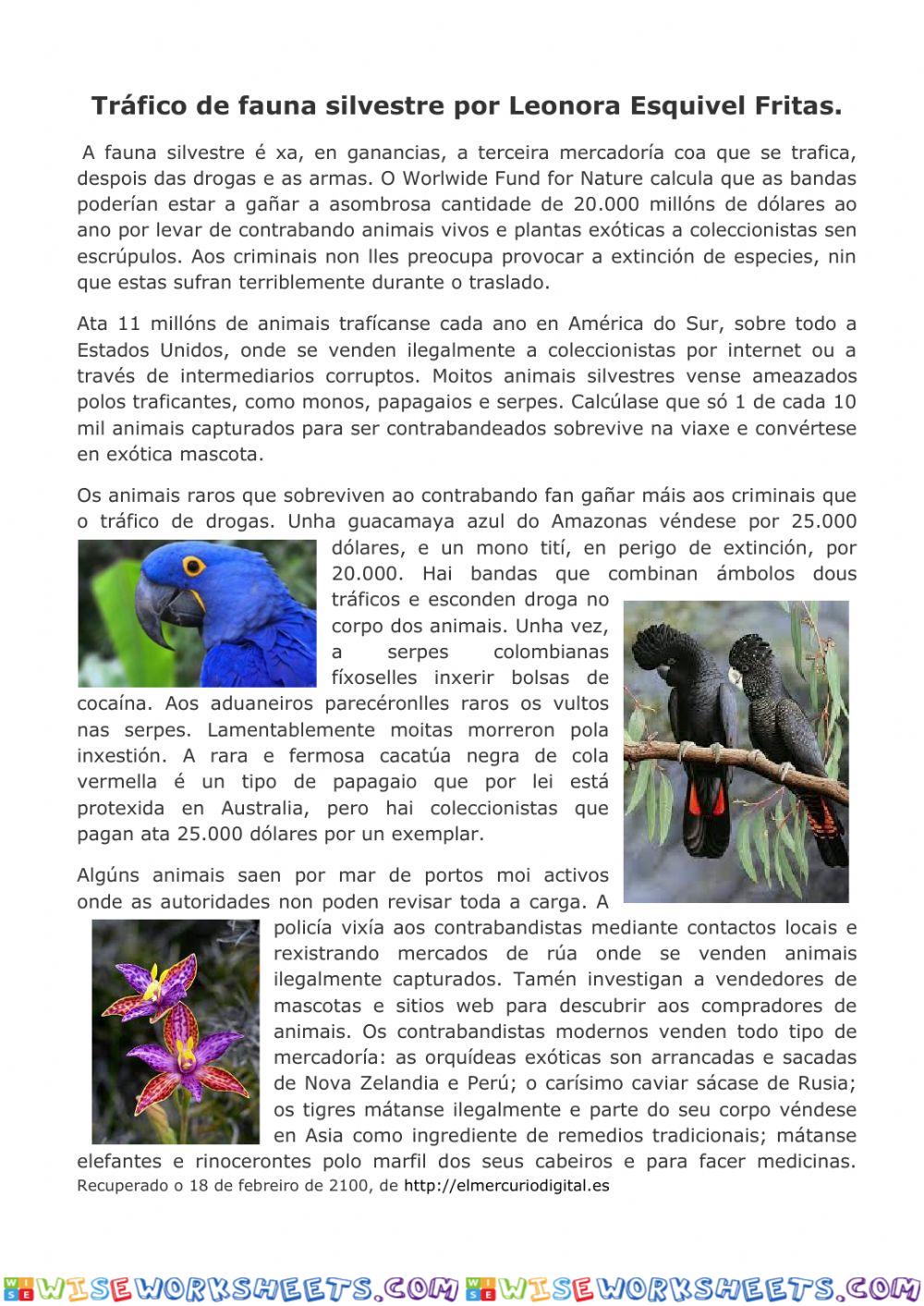 Tráfico de fauna silvestre