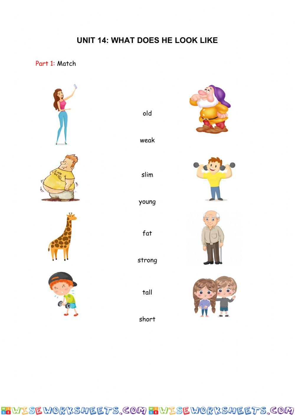 worksheet