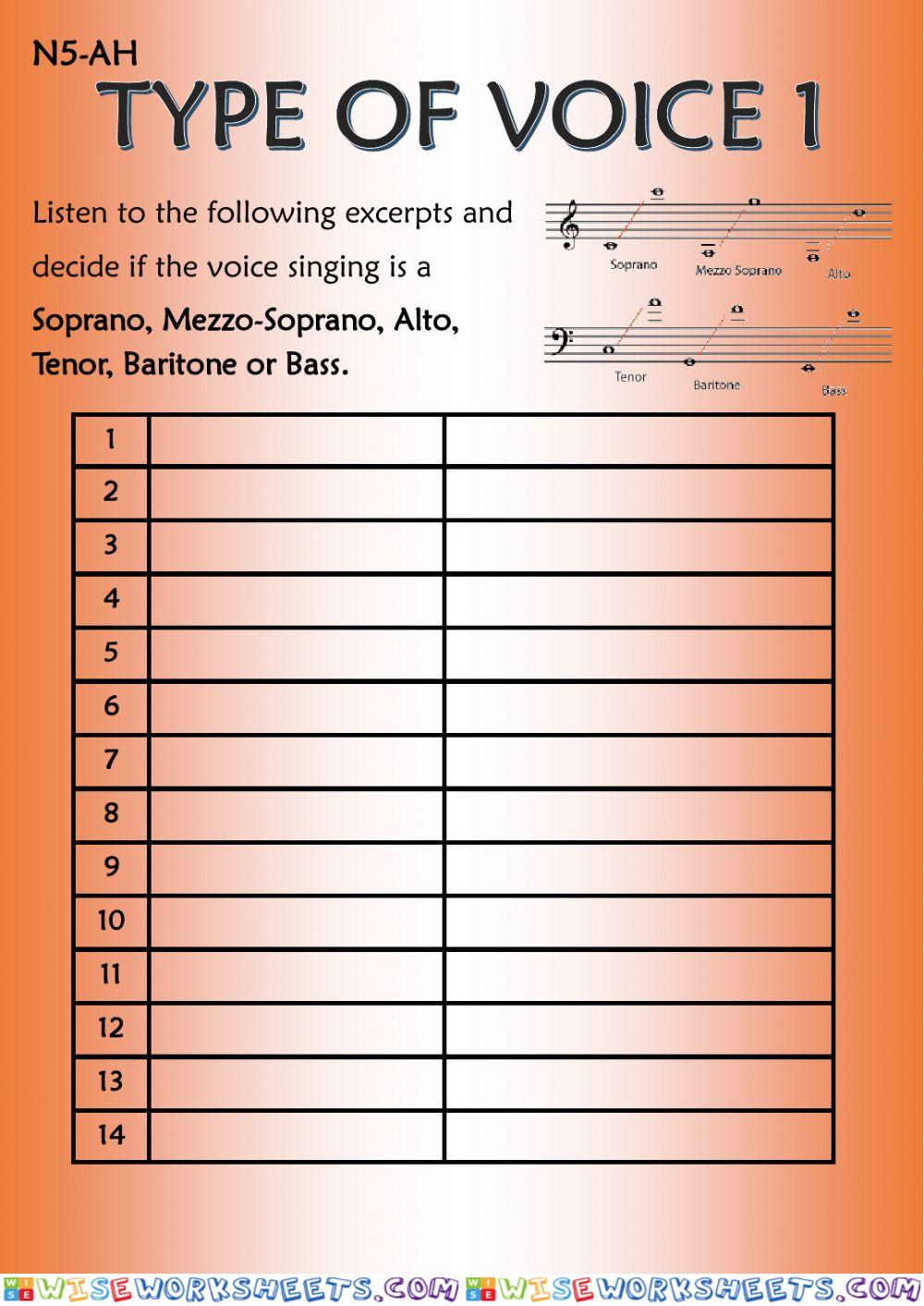 Type of Voice Worksheet 1