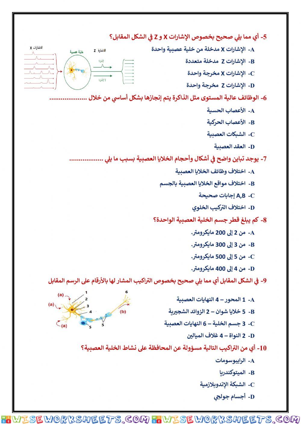 worksheet