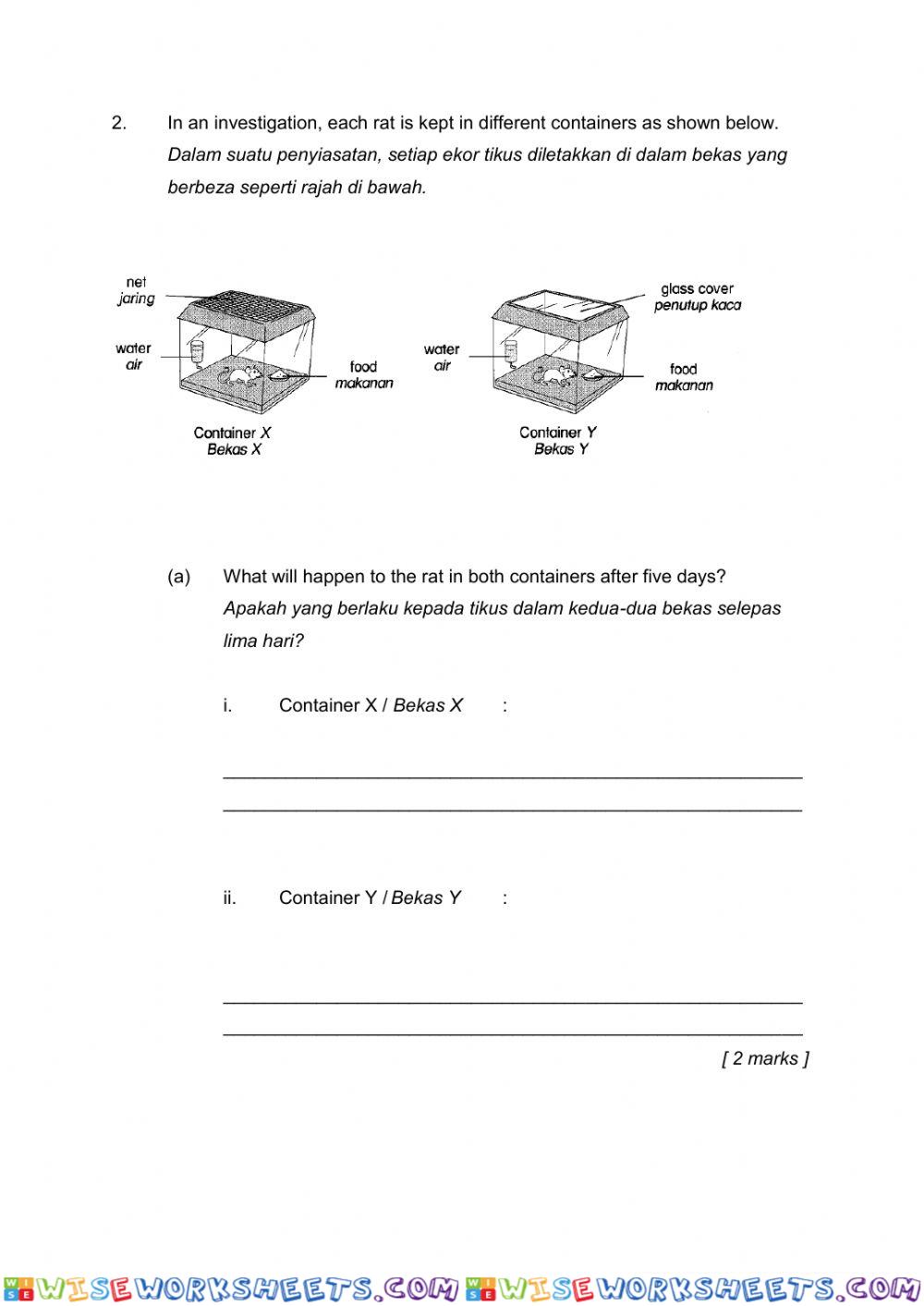 worksheet