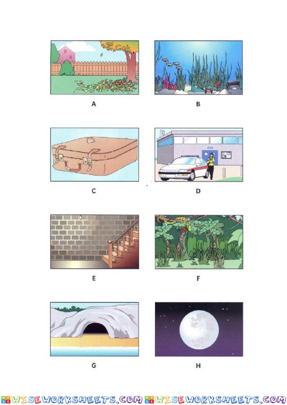 worksheet