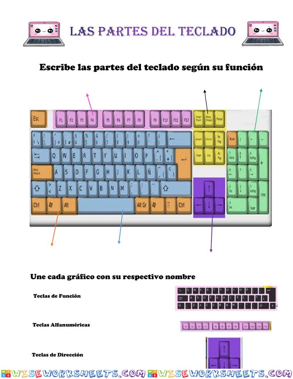 Las partes del Teclado