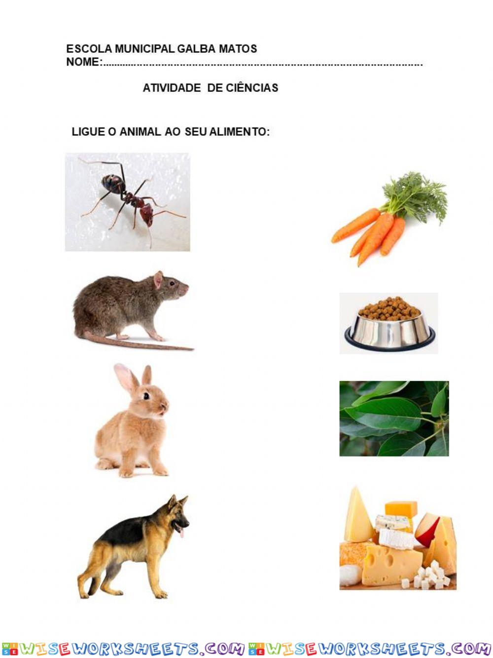 Animal e seu alimento