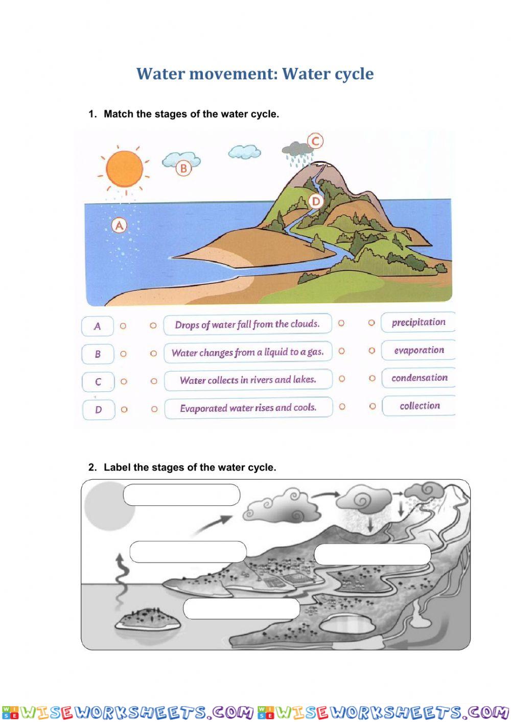 Water Cycle