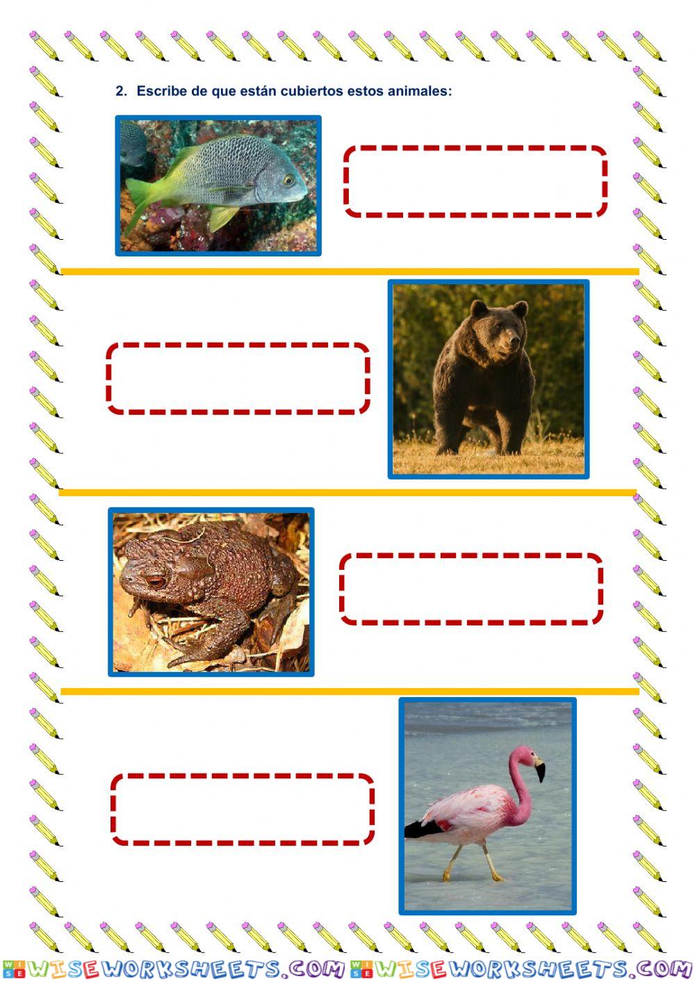 De qué están cubiertos los animales