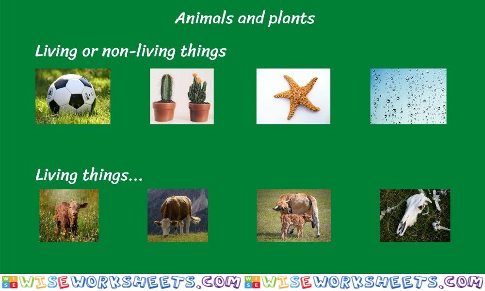 Science plants and animals game 1