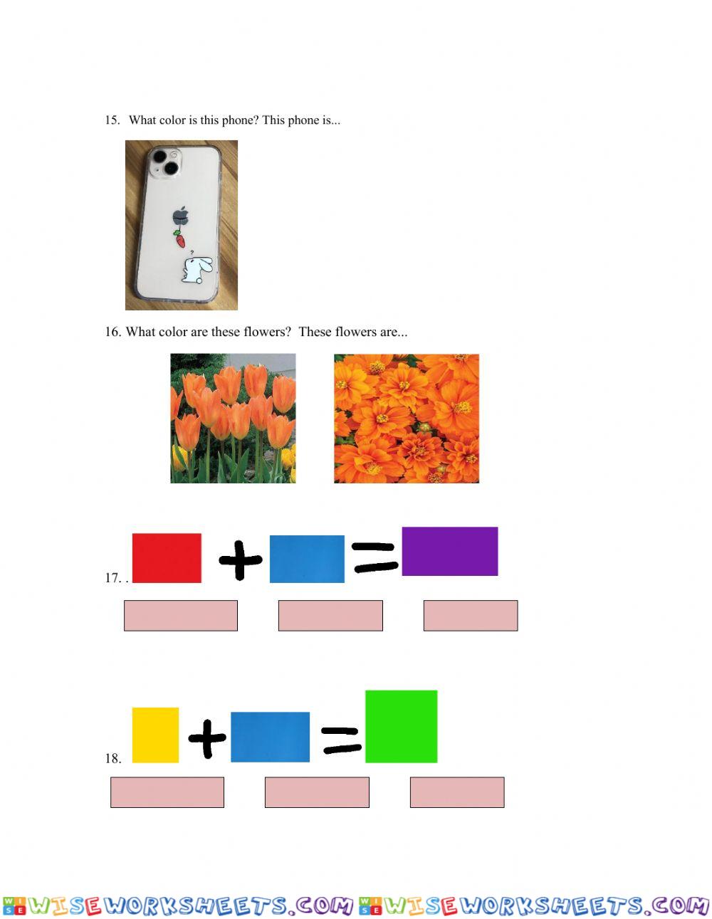 worksheet