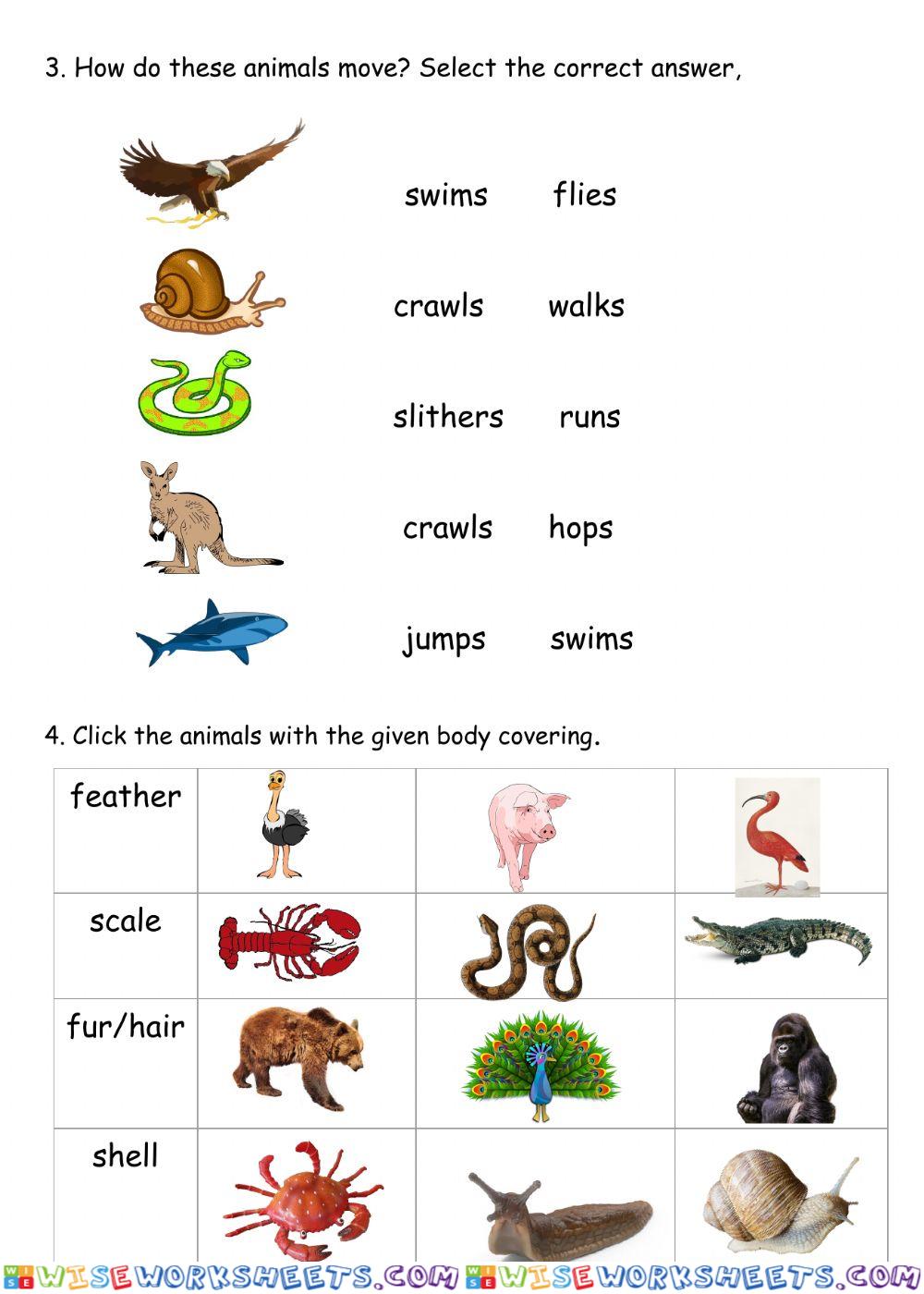 worksheet