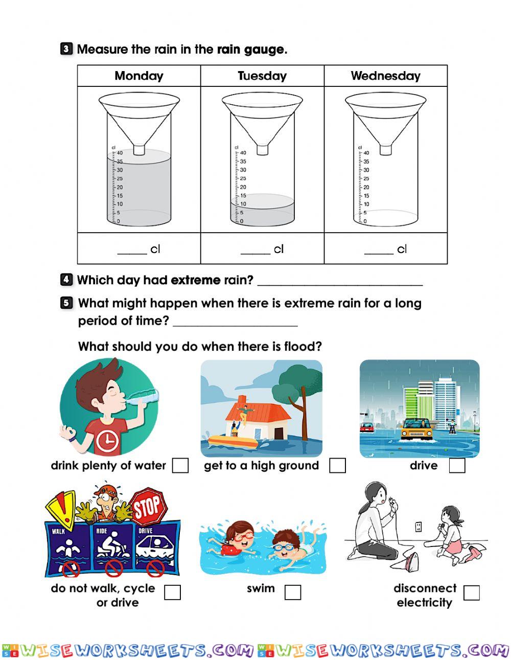worksheet