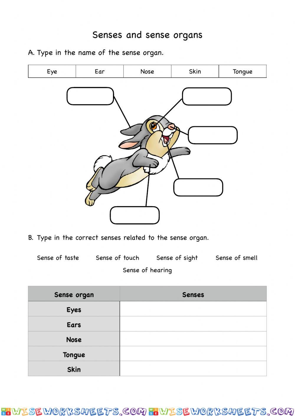Animal - senses and sense organs