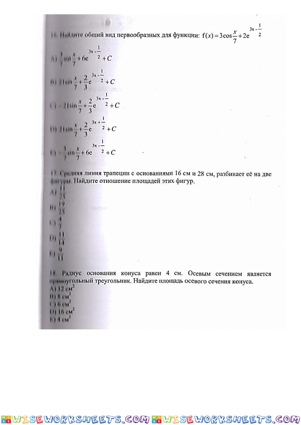 worksheet