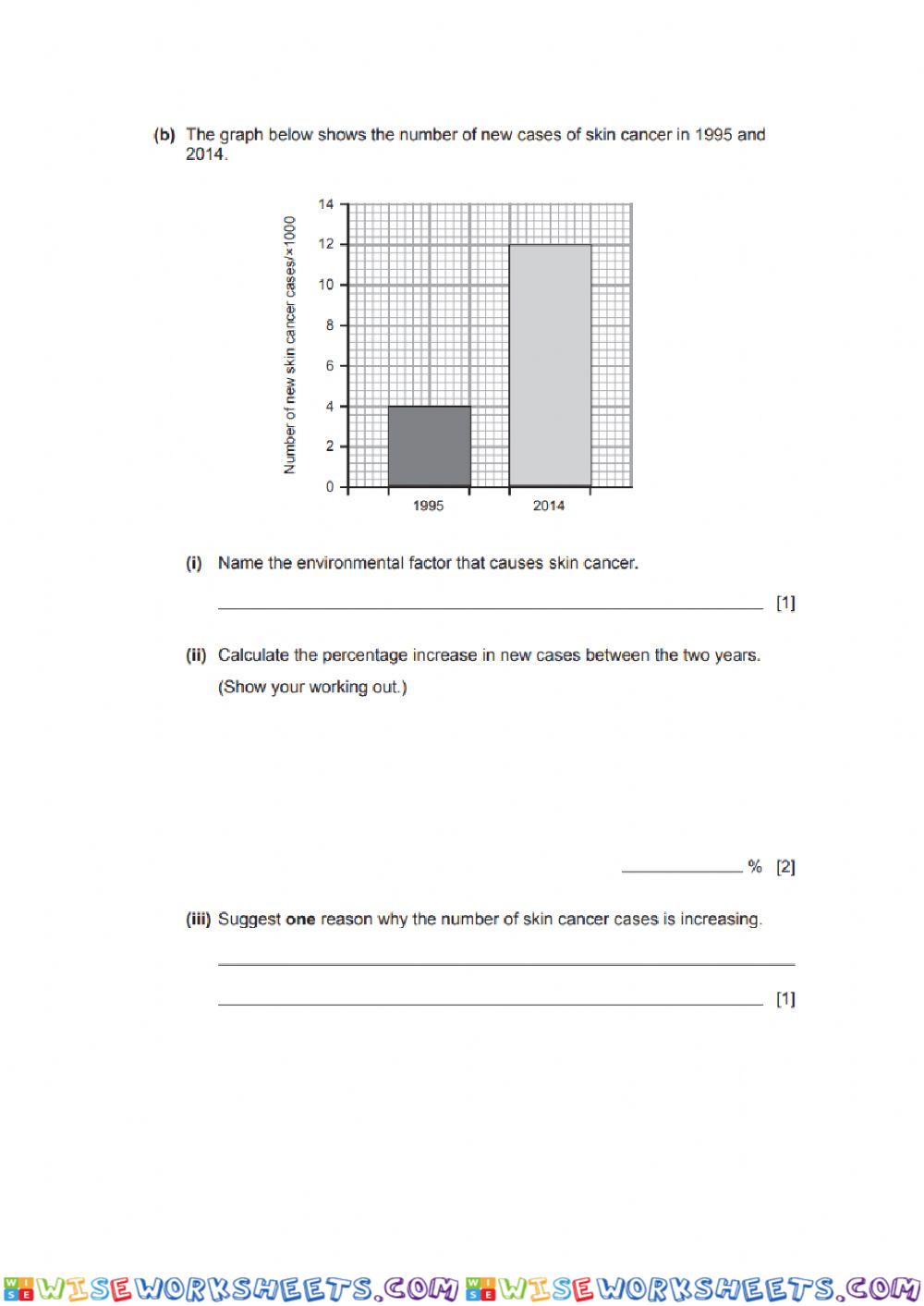 worksheet