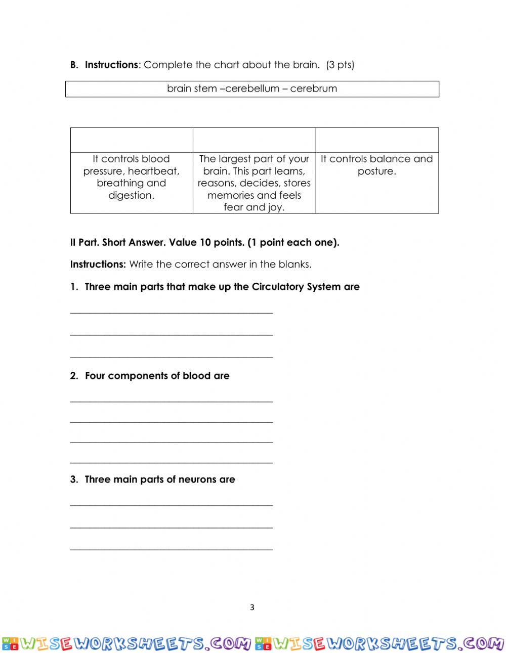 worksheet