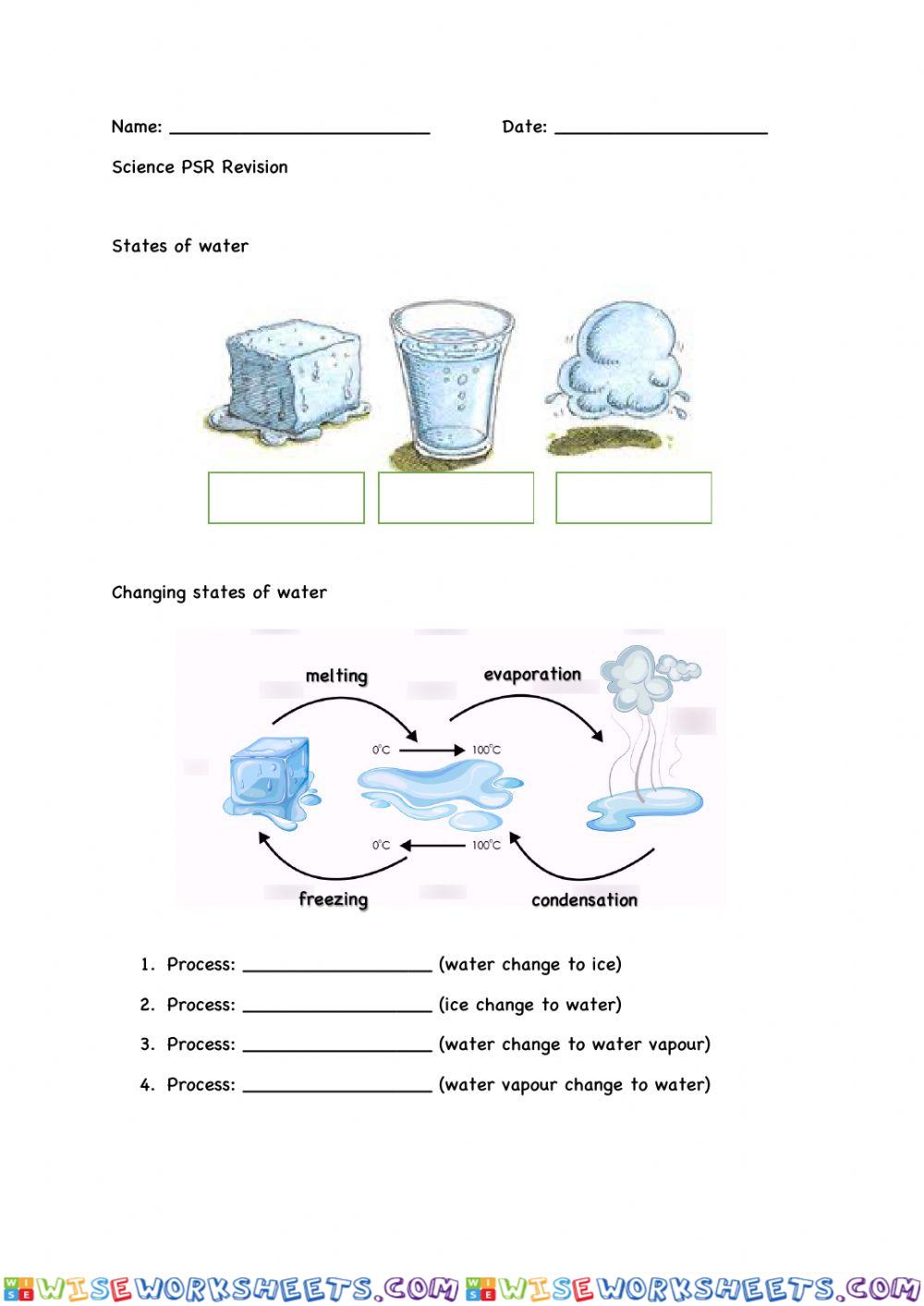 PSR revision 2