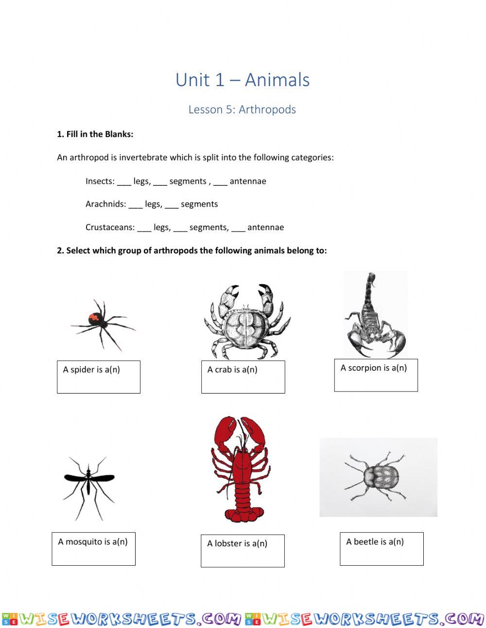 Arthropods