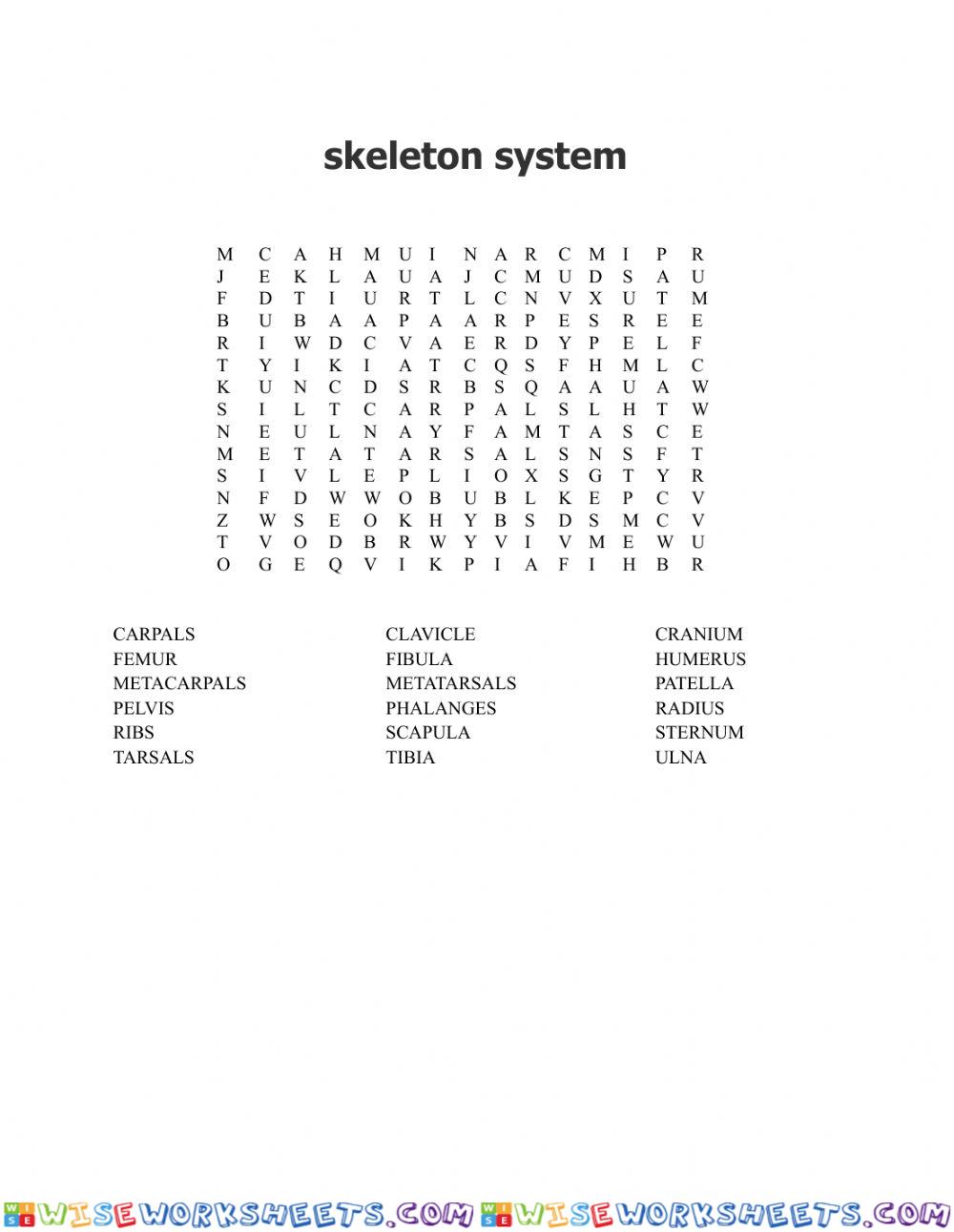 worksheet