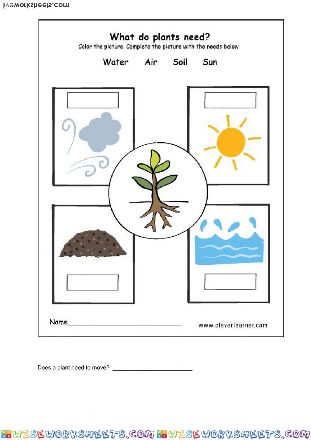 worksheet