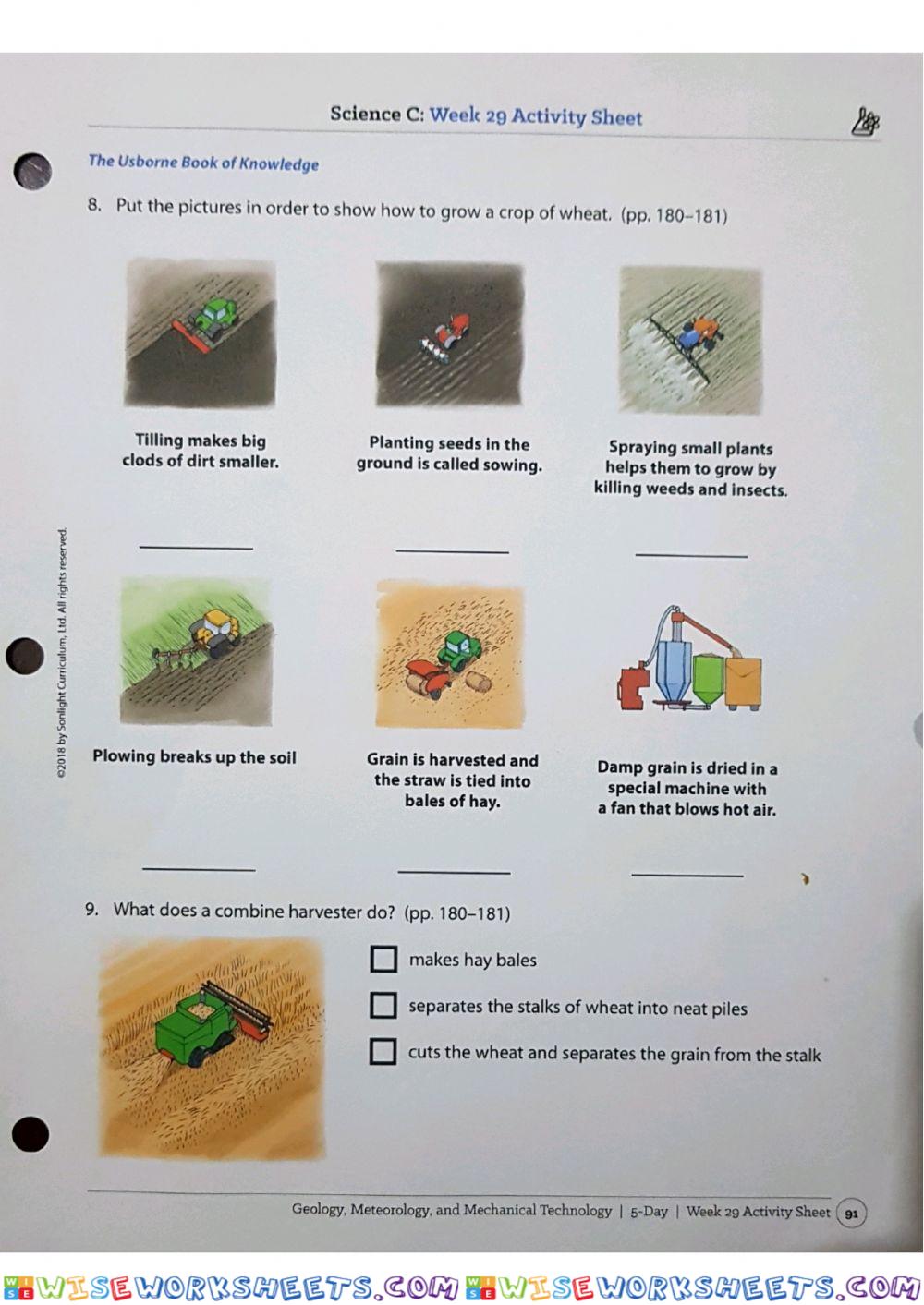worksheet