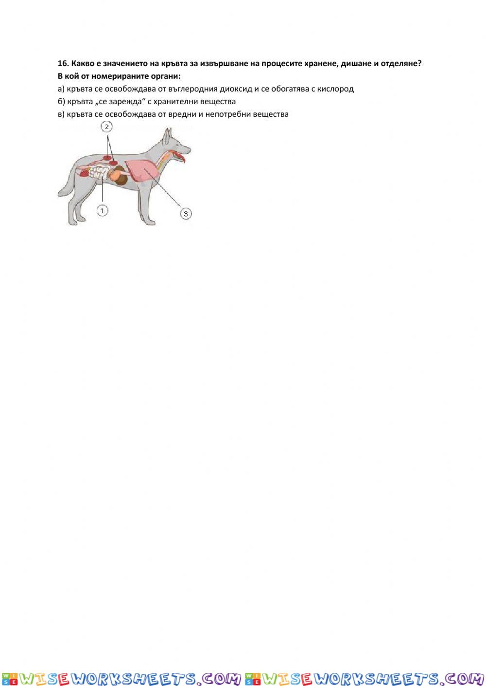 worksheet