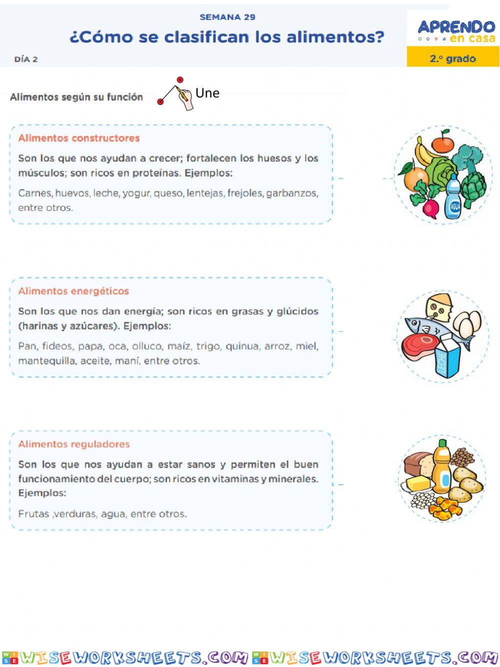 ¿Cómo se clasifican los alimentos?