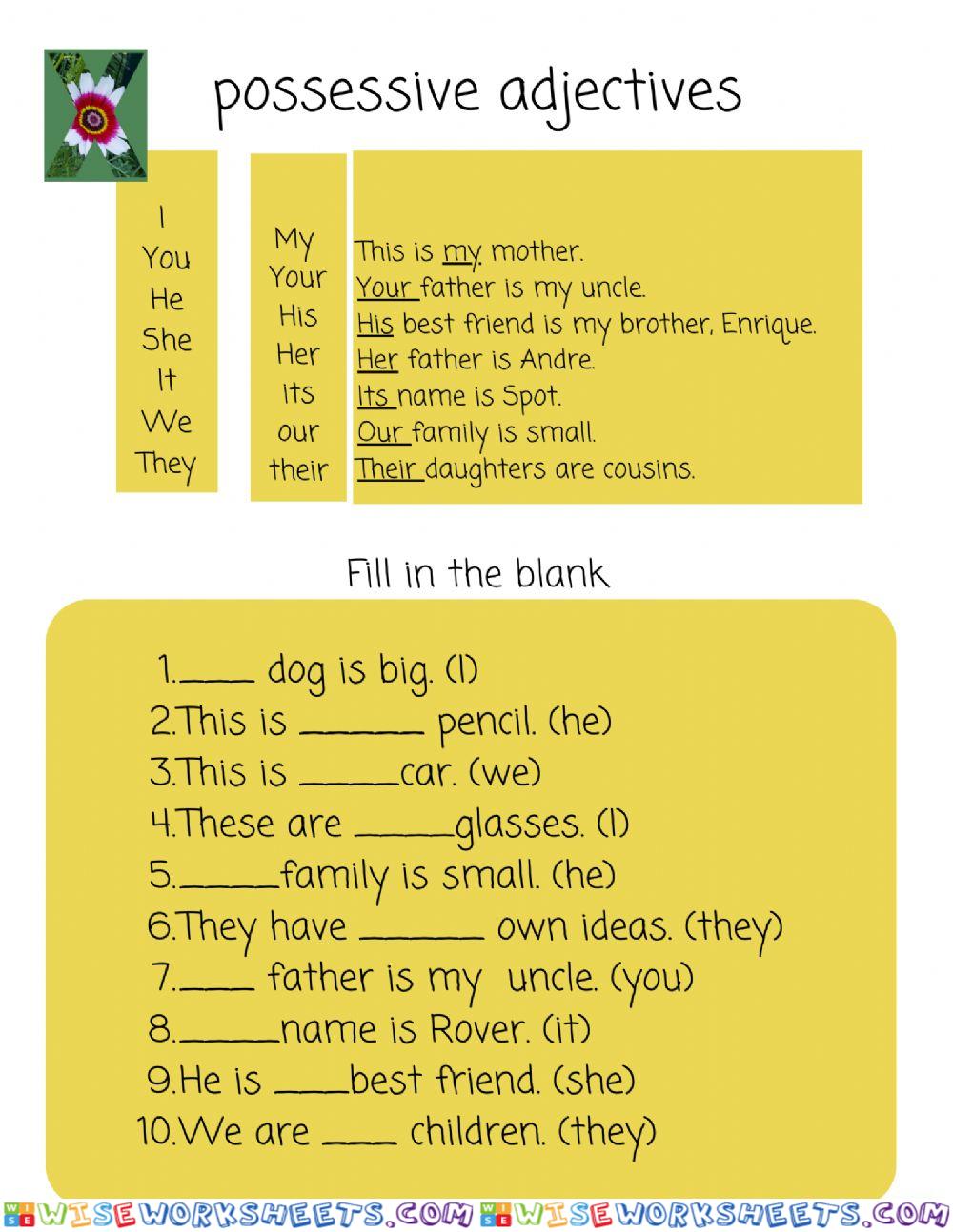 Possessive adjectives