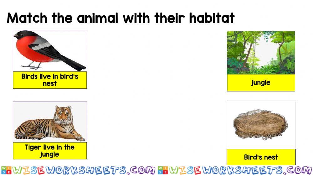worksheet