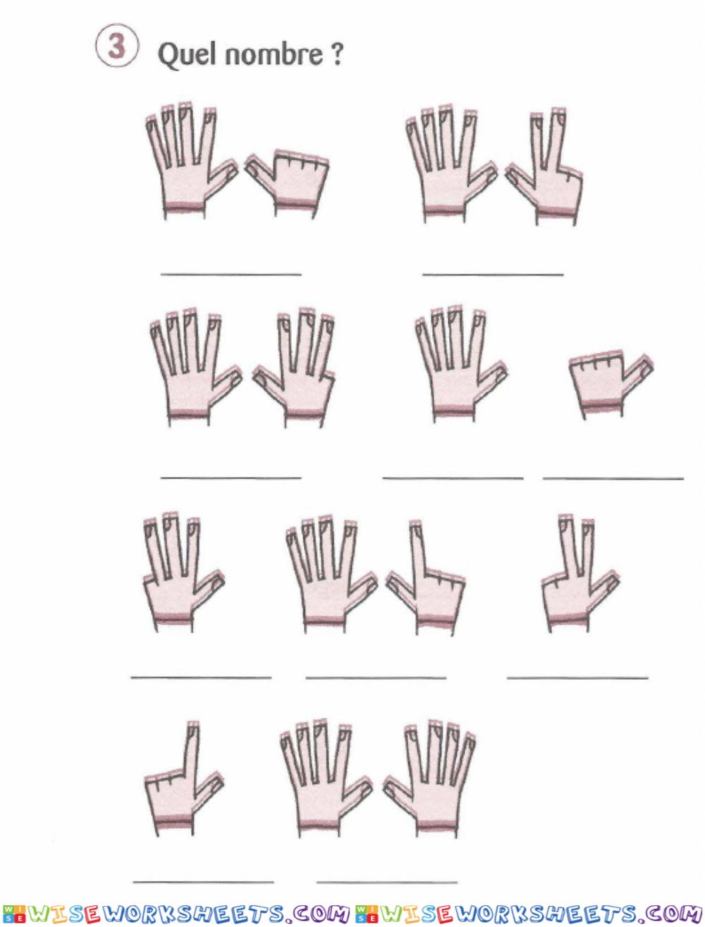 worksheet
