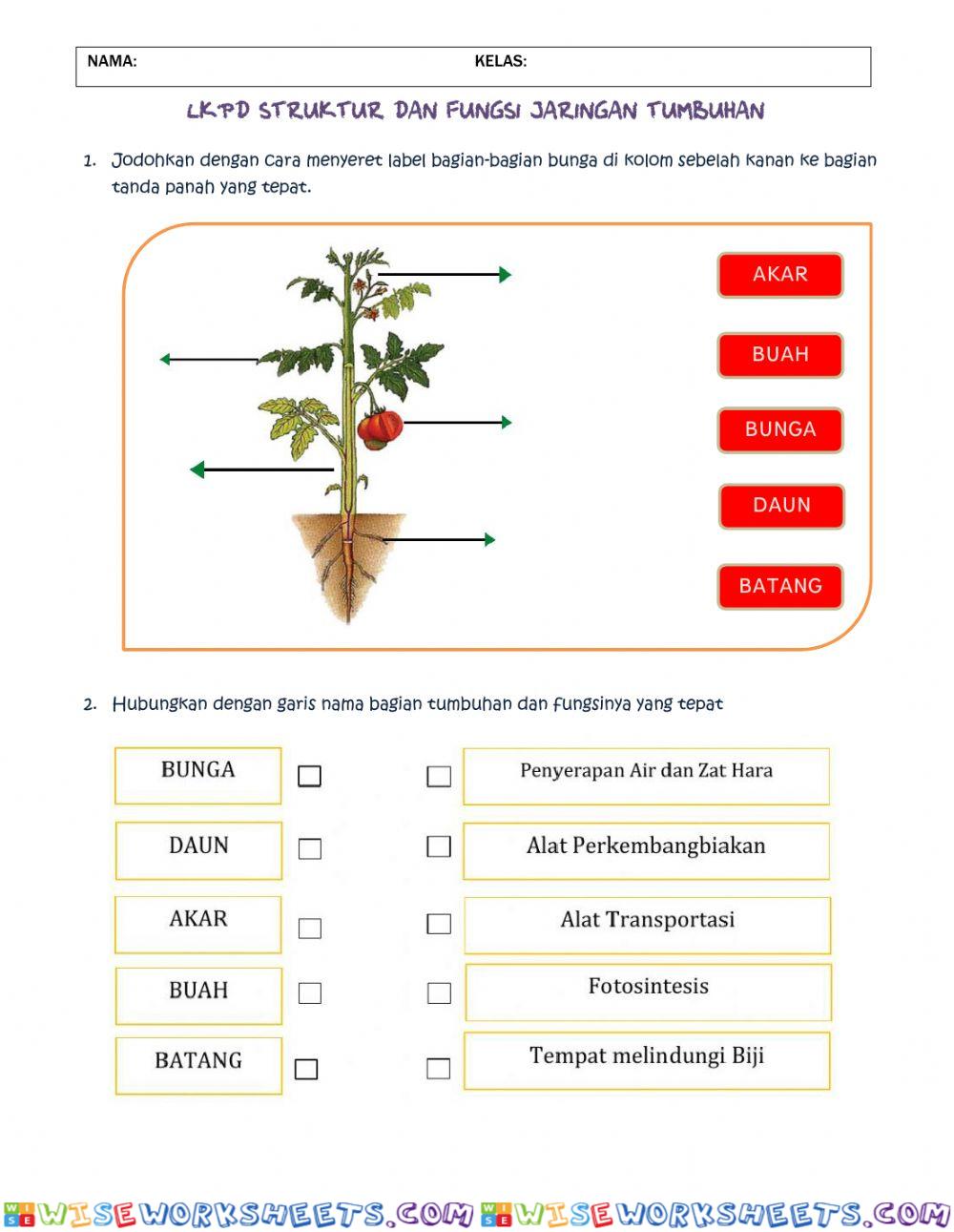 worksheet