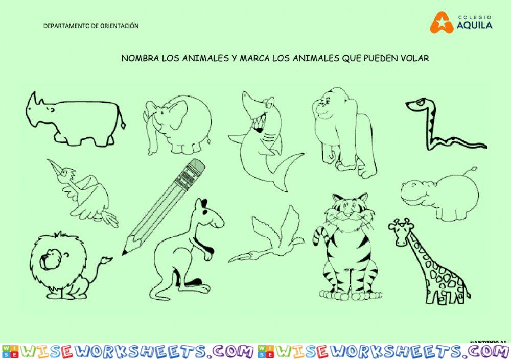 Marca los animales que pueden volar