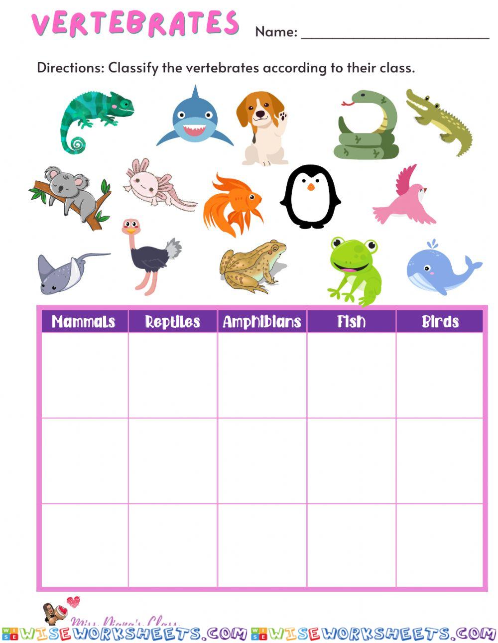 Vertebrate classification