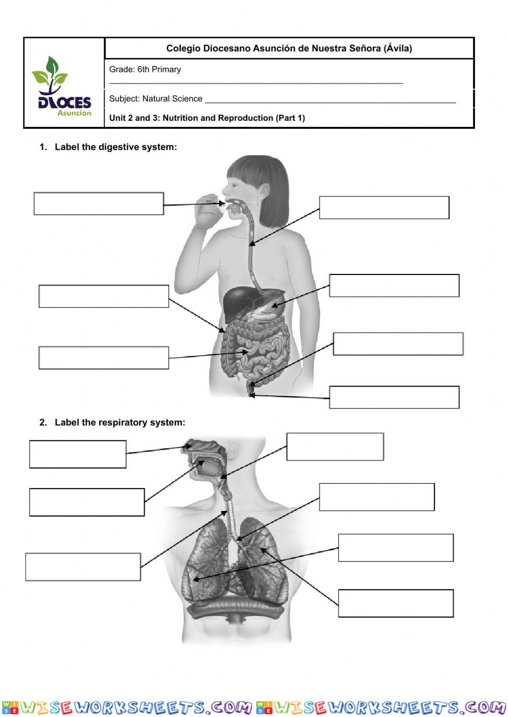 Unit 2 and 3 (6th) Part 1